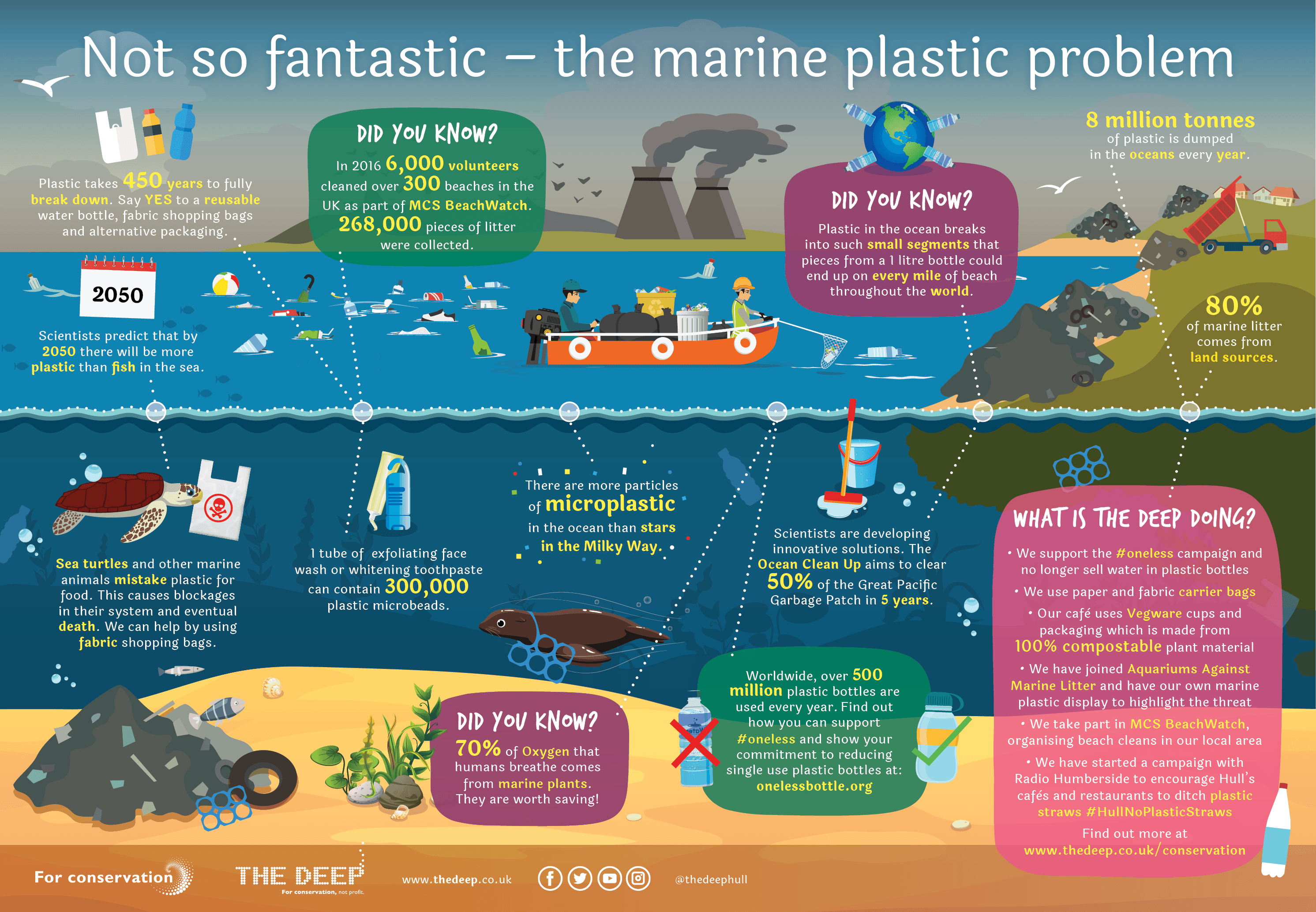 Plants die if you not water them. Инфографика загрязнение воды. Инфографика море. Инфографика экология. Загрязнение океана инфографика.